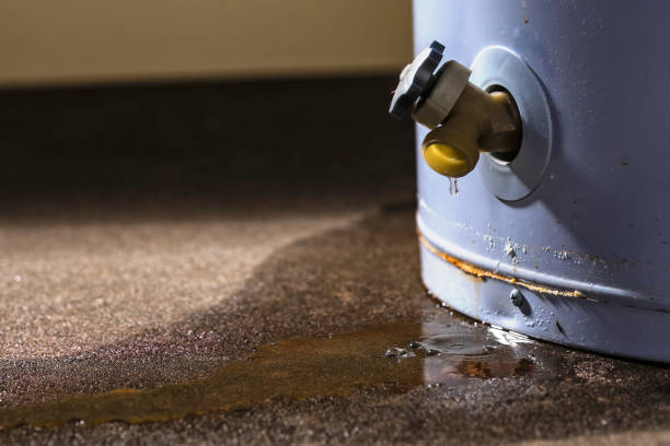 Best Water damage contractors near me  in Colmar Manor, MD