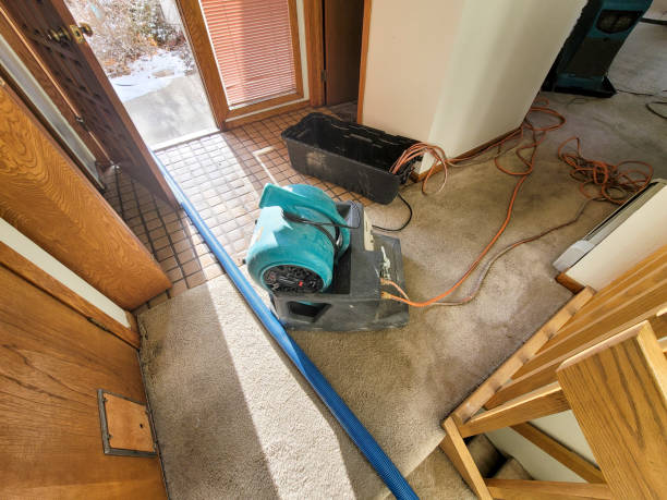 Best Sewage cleanup and water damage restoration  in Colmar Manor, MD