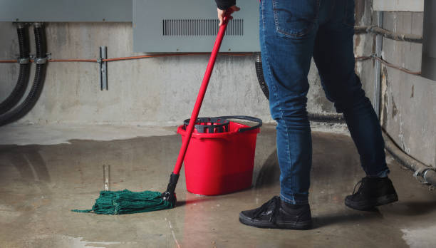 Best Commercial water damage restoration  in Colmar Manor, MD