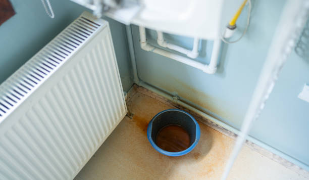 Best Water damage restoration insurance claims  in Colmar Manor, MD