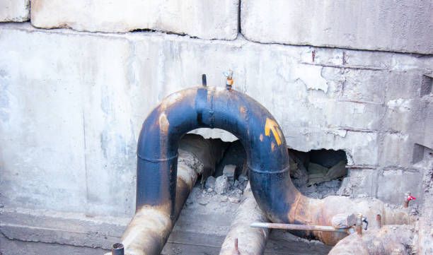 Best Flood damage cleanup  in Colmar Manor, MD