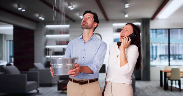 Best Professional water damage repair  in Colmar Manor, MD