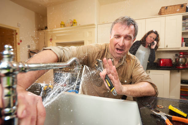 Best Mold removal after water damage  in Colmar Manor, MD